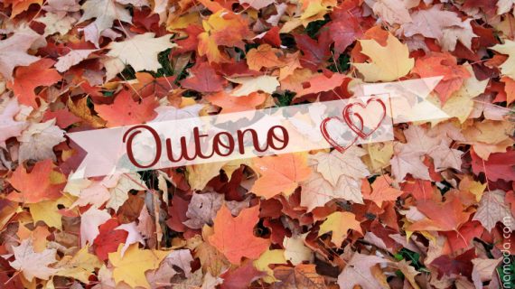 Outono – Estação do Conforto!